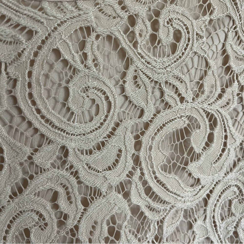 ADRIANNA PAPELL Women Size Small Beige Floral Lace Crew Neck Short Sleeve Blouse - Picture 2 of 13